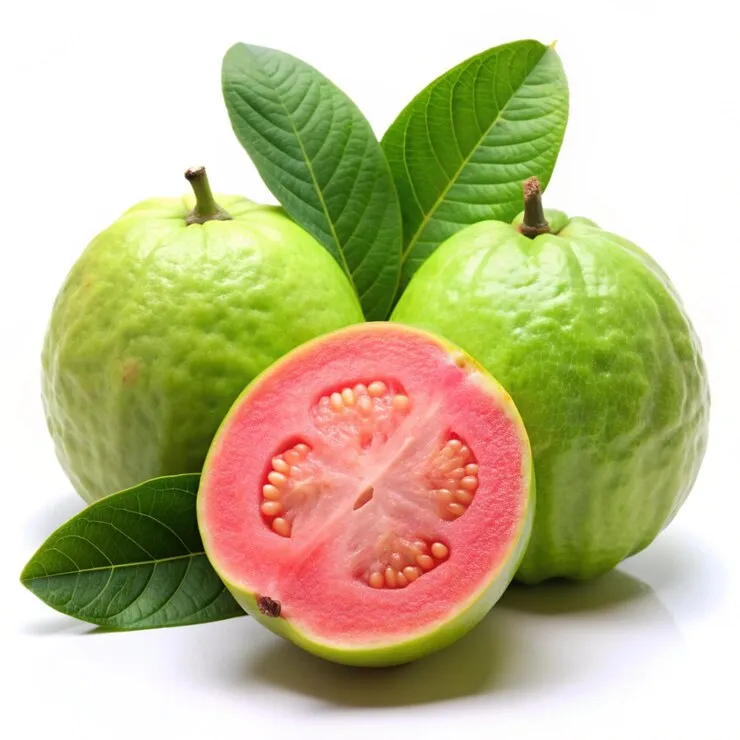 TEST 70520255