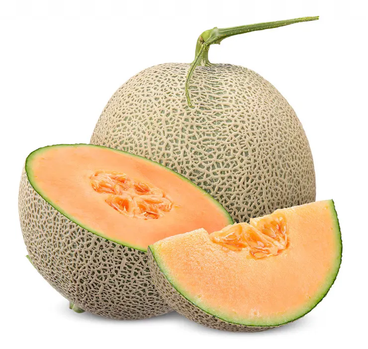 TEST 70520257