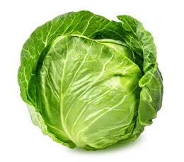 Cabbage test 500 gm