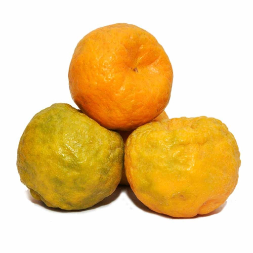 Orange Nagpur
