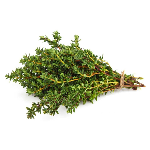 Thyme Pb