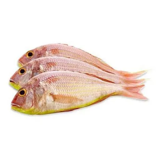 Pink Perch / Sankara / Red Fish -500 Gms