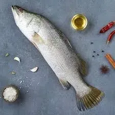 Bhetki / Asian Seabass -1Kg