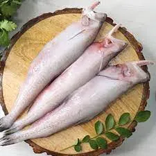 Bombay Duck Fish / Bombil - 500 Gms
