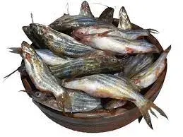 Local Tangra - 500 Gms