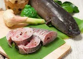 Live Sole Murrel -1 Kg