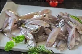 Silver Fish / Veloori - 500 Gms