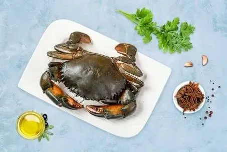 Mud Crab - 500 Gms