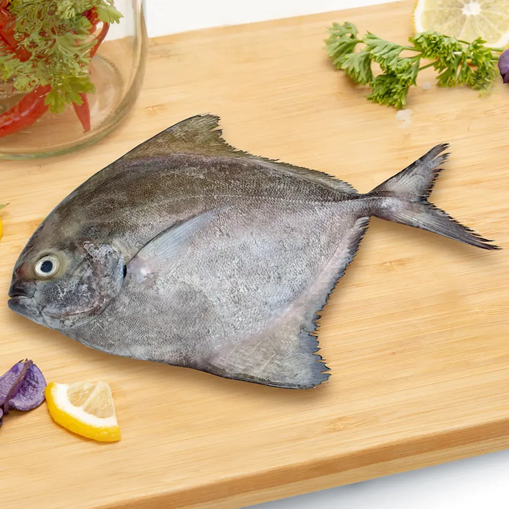 Black Pomfret - 500 Gms